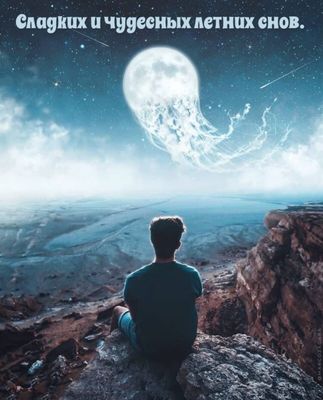 Открытка «Доброй ночи»: Доброй ночи: Сладких летних снов. Тэги: медуза