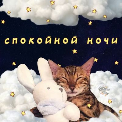 Открытка «Спокойной ночи»: Милая открытка: спокойной ночи котенку и зайке. Тэги: Спокойной ночи, красивые, Спокойной…