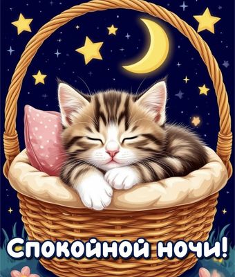 Открытка «Спокойной ночи»: Спокойной ночи: милый спящий котик под луной. Тэги: Спокойной ночи, красивые, Спокойной но…