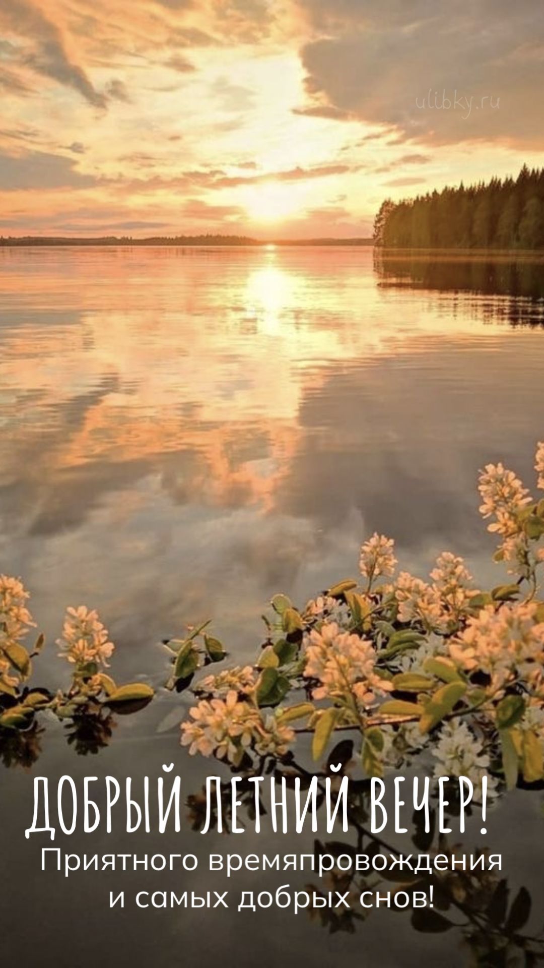 Открытка «Добрый вечер и пожелания»: Добрый летний вечер: «Закат над озером и сирень». Тэги: Доброго летнего вечера…