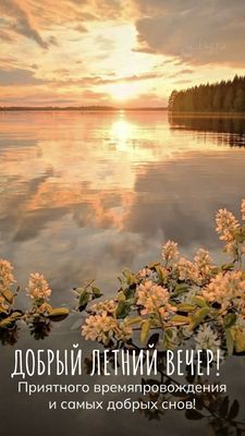 Открытка «Добрый вечер и пожелания»: Добрый летний вечер: «Закат над озером и сирень». Тэги: Доброго летнего вечера…