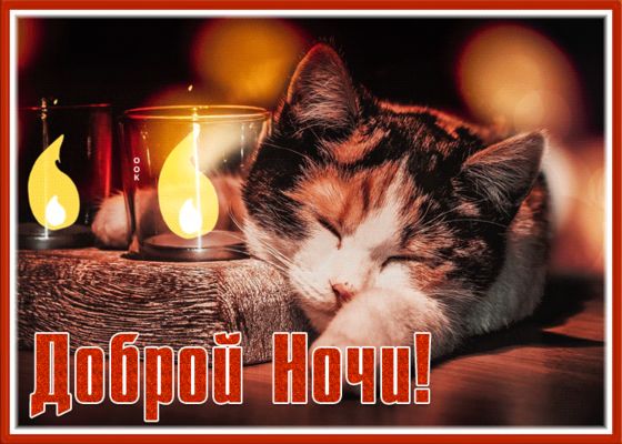 Открытка «Доброй ночи»: Доброй ночи: Уютная открытка со спящим котом и свечами. Тэги: проза