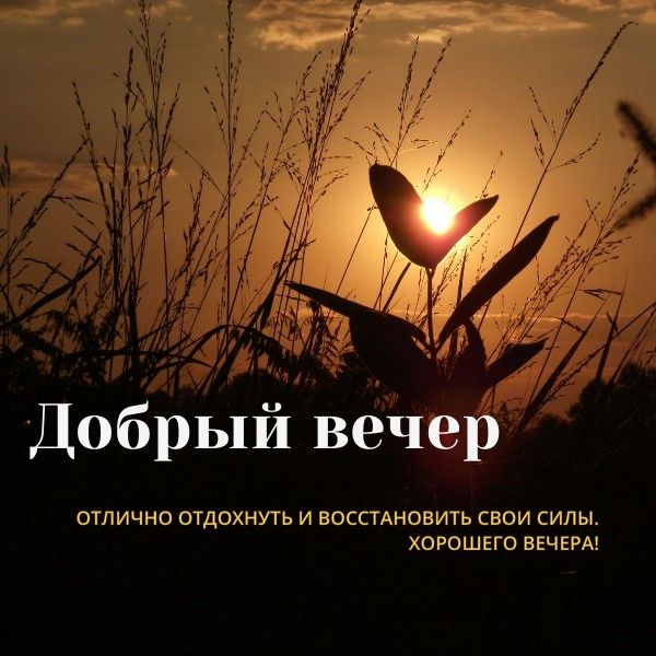 Открытка «Добрый вечер и пожелания»: Добрый вечер: пожелание отлично отдохнуть. Тэги: Добрый вечер красивые, Добрый в…