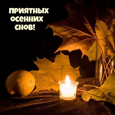 Открытка «Доброй ночи»: Добрый вечер: «Приятных осенних снов». Тэги: Добрый вечер и пожелания, Добрый вечер красивые…