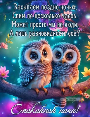 Открытка «Доброй ночи»: Спокойной ночи: Смешные совы для хорошего настроения. Тэги: проза, Добрый вечер и пожелания…