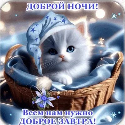 Открытка «Доброй ночи»: Доброй ночи: милая открытка с котенком.