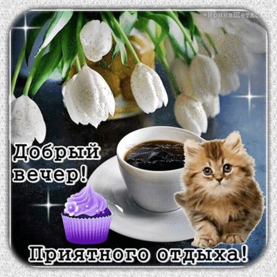 Открытка «Добрый вечер и пожелания»: Добрый вечер: милый кот и чашка кофе. Тэги: Добрый вечер красивые, Доброго вечер…