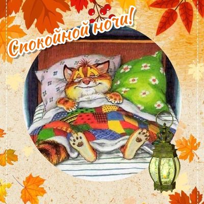Открытка «Спокойной ночи»: Спокойной ночи: Милый рыжий кот спит в уютной кровати. Тэги: Спокойной ночи, милые, Спокой…