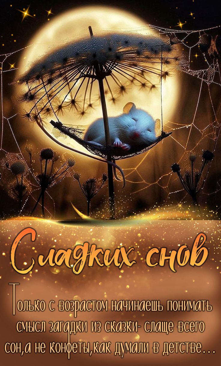 Открытка «Доброй ночи»: Доброй ночи: Медведь спит на луне. Тэги: проза