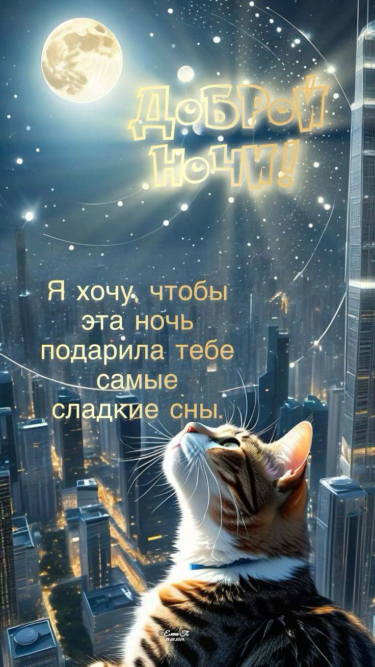 Открытка «Доброй ночи»: Доброй ночи: Милый кот смотрит на луну.