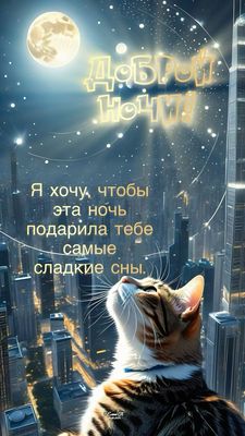 Открытка «Доброй ночи»: Доброй ночи: Милый кот смотрит на луну.