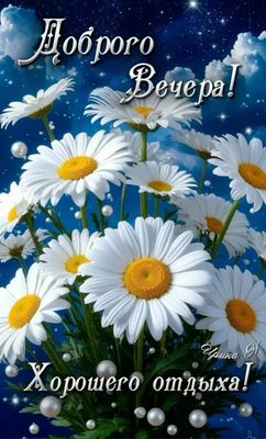Открытка «Добрый вечер и пожелания»: Доброго Вечера! Открытка с ромашками к отдыху. Тэги: Добрый вечер красивые…