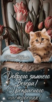 Открытка «Добрый вечер и пожелания»: Открытка «добрый вечер»: милый котенок и тюльпаны. Тэги: Добрый зимний вечер…