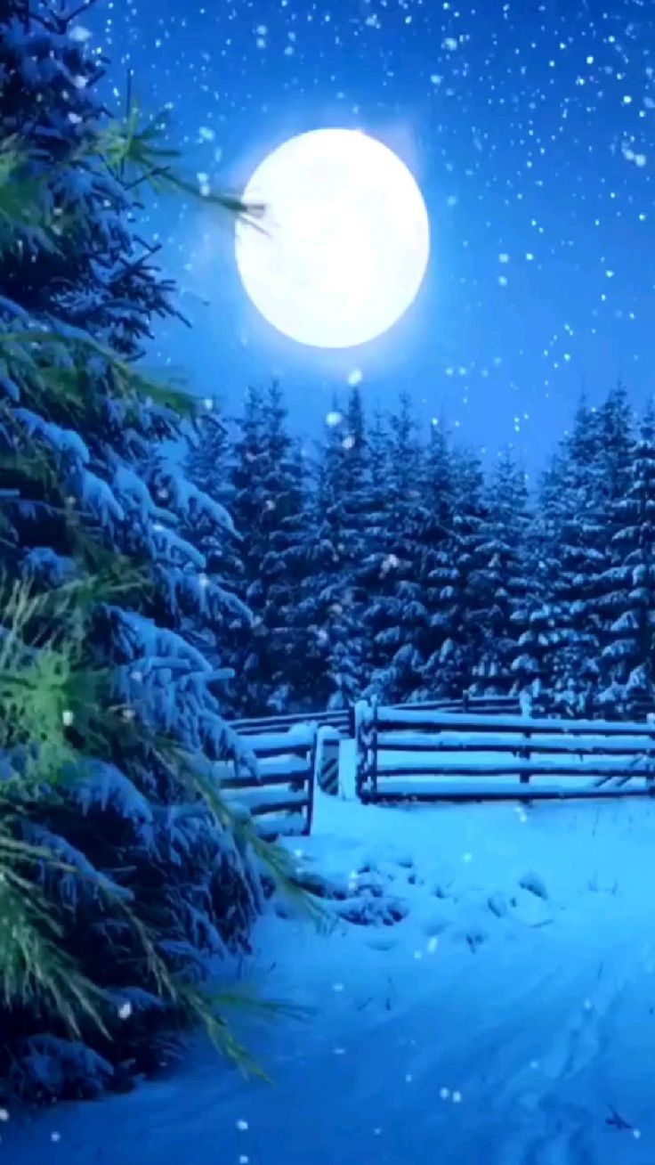 Открытка «Доброй ночи»: Доброй ночи: Волшебный зимний пейзаж с луной. Тэги: морозный