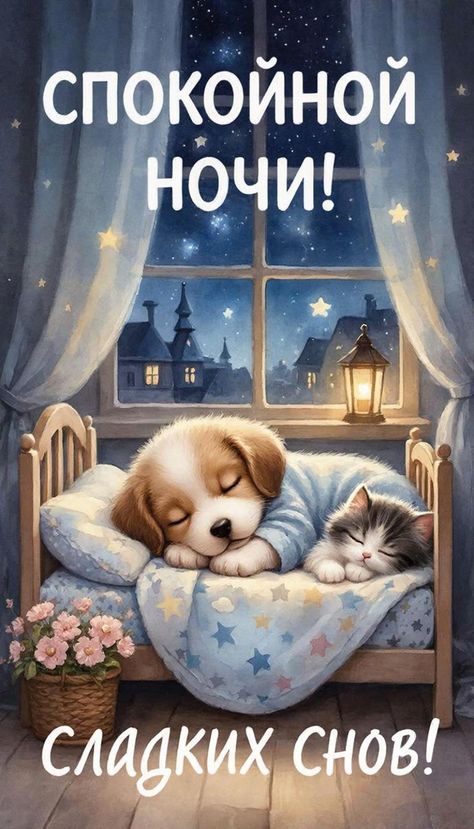 Открытка «Спокойной ночи»: Спокойной ночи: «Сладких снов» с милыми зверятами. Тэги: пожелание, кот, рисунок, милый…