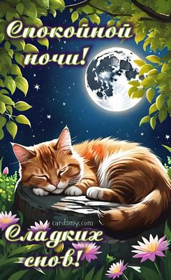 Открытка «Доброй ночи»: Спокойной ночи: милый спящий кот на фоне луны. Тэги: Спокойной ночи, Спокойной ночи, красивые…