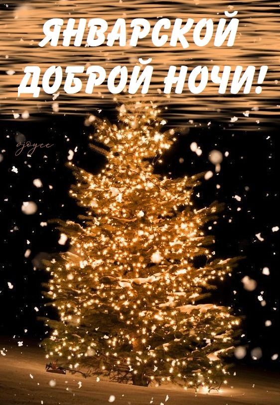 Открытка «Доброй ночи»: Январской доброй ночи: светящаяся елка на снегу.