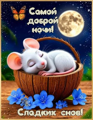 Открытка «Доброй ночи»: Милая открытка «Доброй ночи» со спящей мышкой.