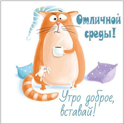 Открытка «С добрым утром»: С добрым утром в среду! Милый кот зовет проснуться. Тэги: кот, животное, пожелание, юмор…