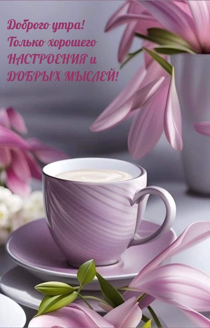 Открытка «С добрым утром»: Доброго утра, настроения и добрых мыслей!. Тэги: пожелание, позитивная, утро, друг, подруга…
