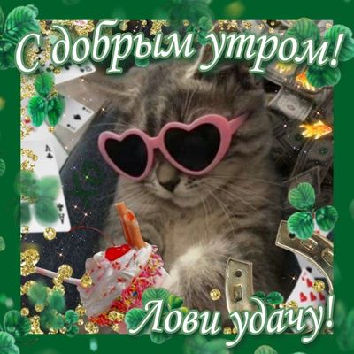 Открытка «С добрым утром»: С добрым утром! Лови удачу с милым котом!. Тэги: хорошего дня, кот, животное, пожелание…