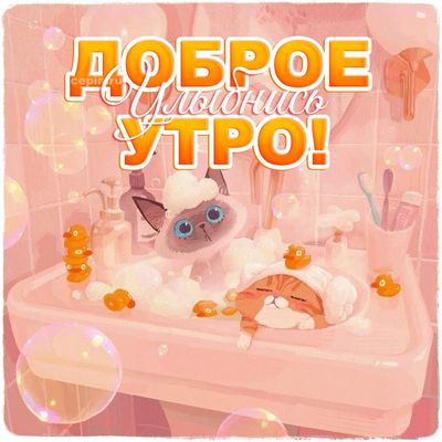Открытка «С добрым утром»: Доброе утро! Пенное утро с милыми котиками. Тэги: хорошего дня, кот, животное, пожелание…