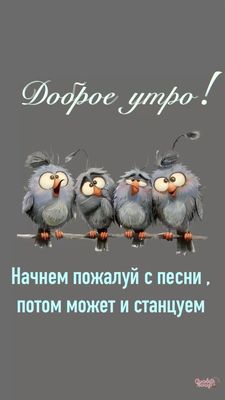 Открытка «С добрым утром»: Доброе утро: поем и танцуем с птичками!. Тэги: пожелание, юмор, утро, друг, подруга…