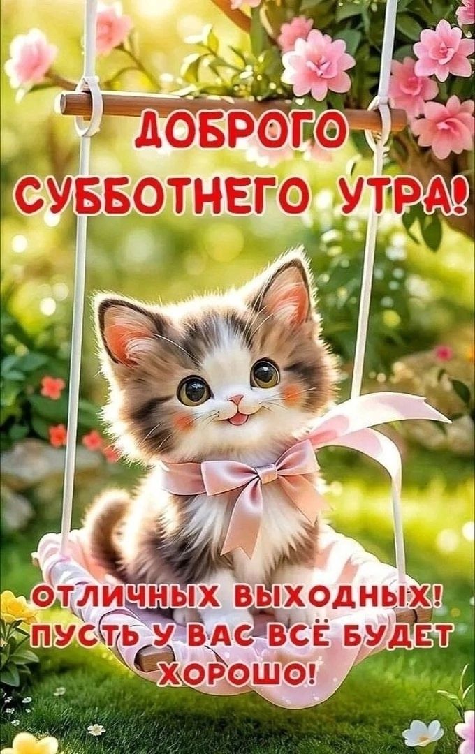 Открытка «С добрым утром»: Милый котенок на качелях: Доброго субботнего утра!. Тэги: хорошего дня, кот, животное…
