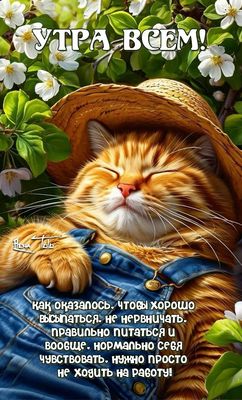Открытка «С добрым утром»: Доброе утро: Отдыхай как кот, не иди на работу!. Тэги: кот, животное, пожелание, позитивная…