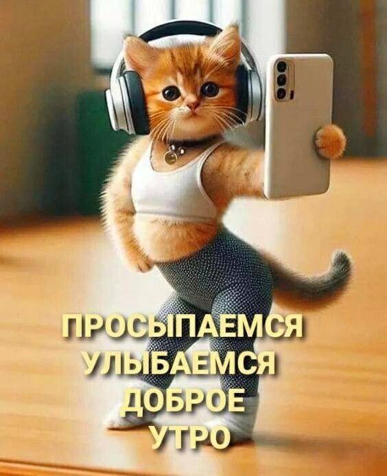 Открытка «С добрым утром»: Просыпаемся, улыбаемся: доброе утро от котика!. Тэги: хорошего дня, кот, животное, пожелан…