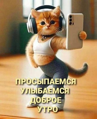 Открытка «С добрым утром»: Просыпаемся, улыбаемся: доброе утро от котика!. Тэги: хорошего дня, кот, животное, пожелан…