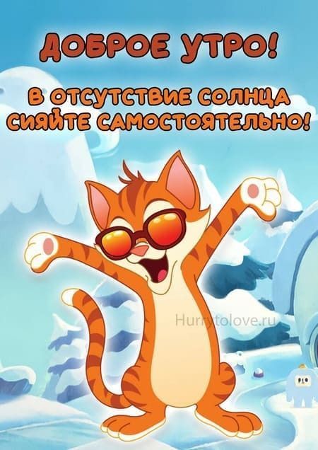 Открытка «С добрым утром»: Доброе утро: сияй сам, как этот кот!. Тэги: кот, животное, пожелание, юмор, прикольная…