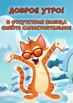 Открытка «С добрым утром»: Доброе утро: сияй сам, как этот кот!. Тэги: кот, животное, пожелание, юмор, прикольная…