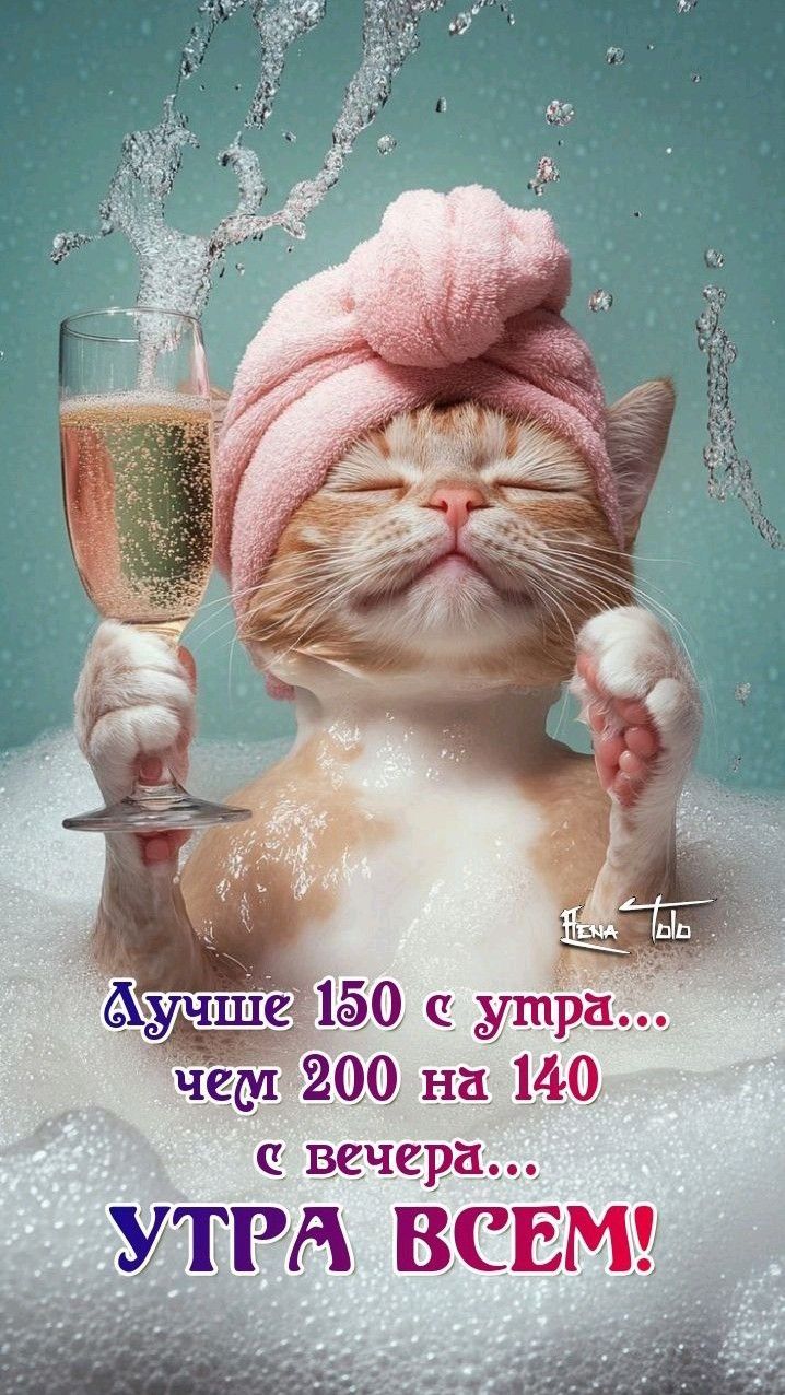 Открытка «С добрым утром»: Прикольное утро: кот, ванна и игристое настроение!. Тэги: кот, животное, пожелание, позити…