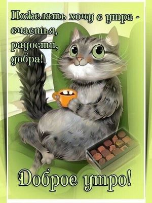 Открытка «С добрым утром»: Доброе утро: кот желает счастья и добра!. Тэги: кот, животное, пожелание, улыбка, утро…