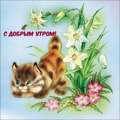 Открытка «С добрым утром»: С добрым утром: милый котенок и весенние цветы. Тэги: С добрым весенним утром, С добрым ут…