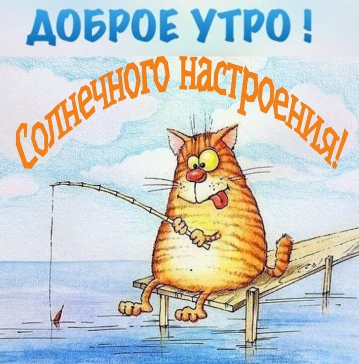 Открытка «С добрым утром»: Доброе утро: кот-рыбак и солнечное настроение. Тэги: кот, животное, пожелание, позитивная…