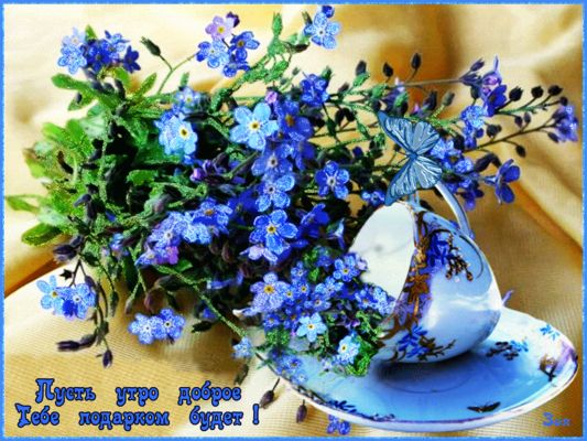 Открытка «С добрым утром»: Пусть утро доброе подарком будет!. Тэги: пожелание, позитивная, отличное настроение, утро…