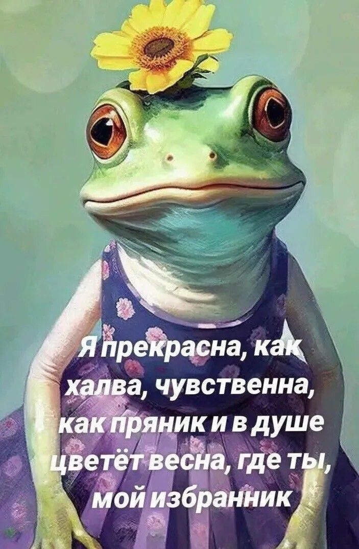 Открытка «Добрый день»: Прекрасная лягушка ждёт избранника! С добрым утром!. Тэги: поднятие, Добрый день и добрые пож…