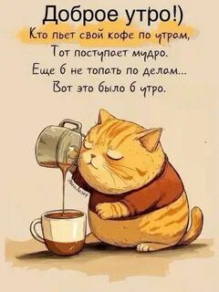 Открытка «С добрым утром»: Доброе утро: мудрый кот и ароматный кофе. Тэги: кот, животное, пожелание, позитивная…