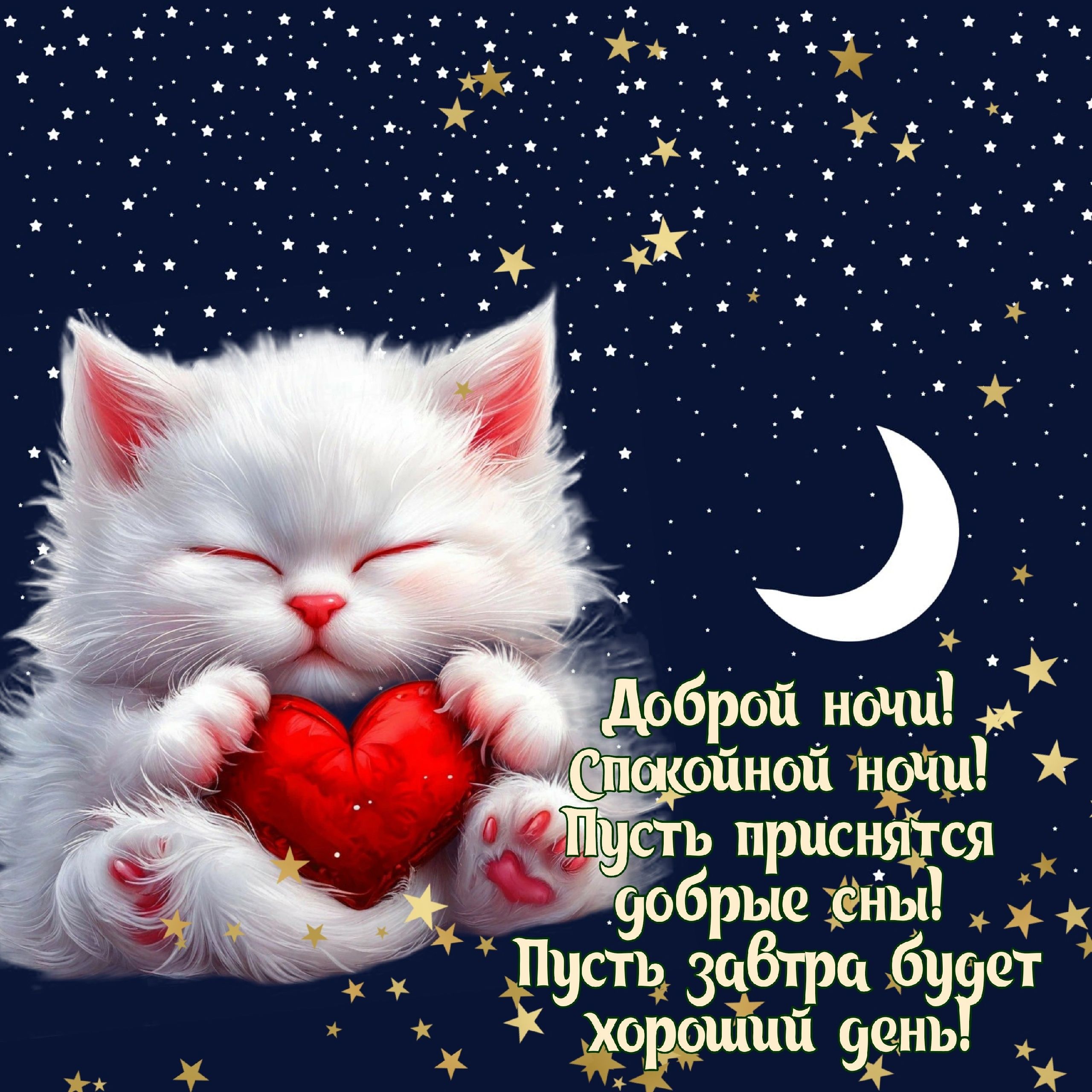 Открытка «Доброй ночи»: Доброй ночи: «Милый белый котенок с красным сердцем». Тэги: Спокойной ночи, Спокойной ночи…