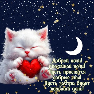 Открытка «Доброй ночи»: Доброй ночи: «Милый белый котенок с красным сердцем». Тэги: Спокойной ночи, Спокойной ночи…