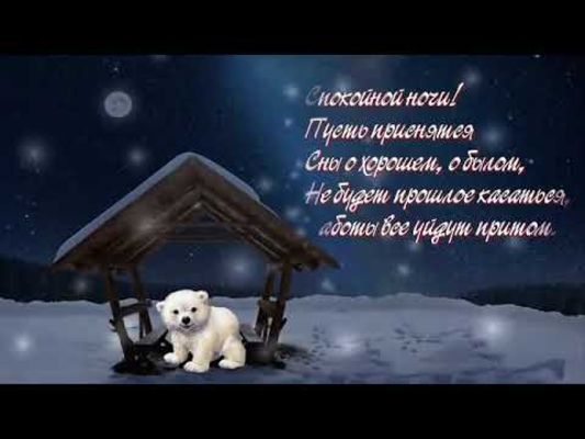 Открытка «Спокойной ночи»: Спокойной ночи: милый стих с белым медведем. Тэги: навес, Спокойной ночи, с пожеланиями…