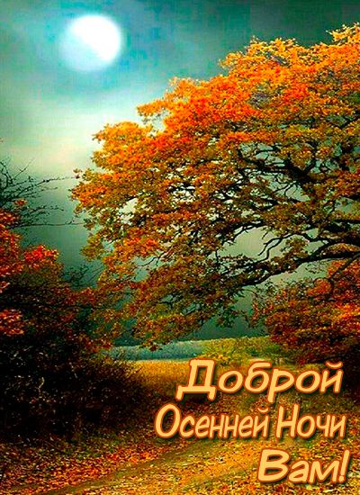 Открытка «Доброй ночи»: Открытка «Доброй осенней ночи»: Лунный пейзаж.