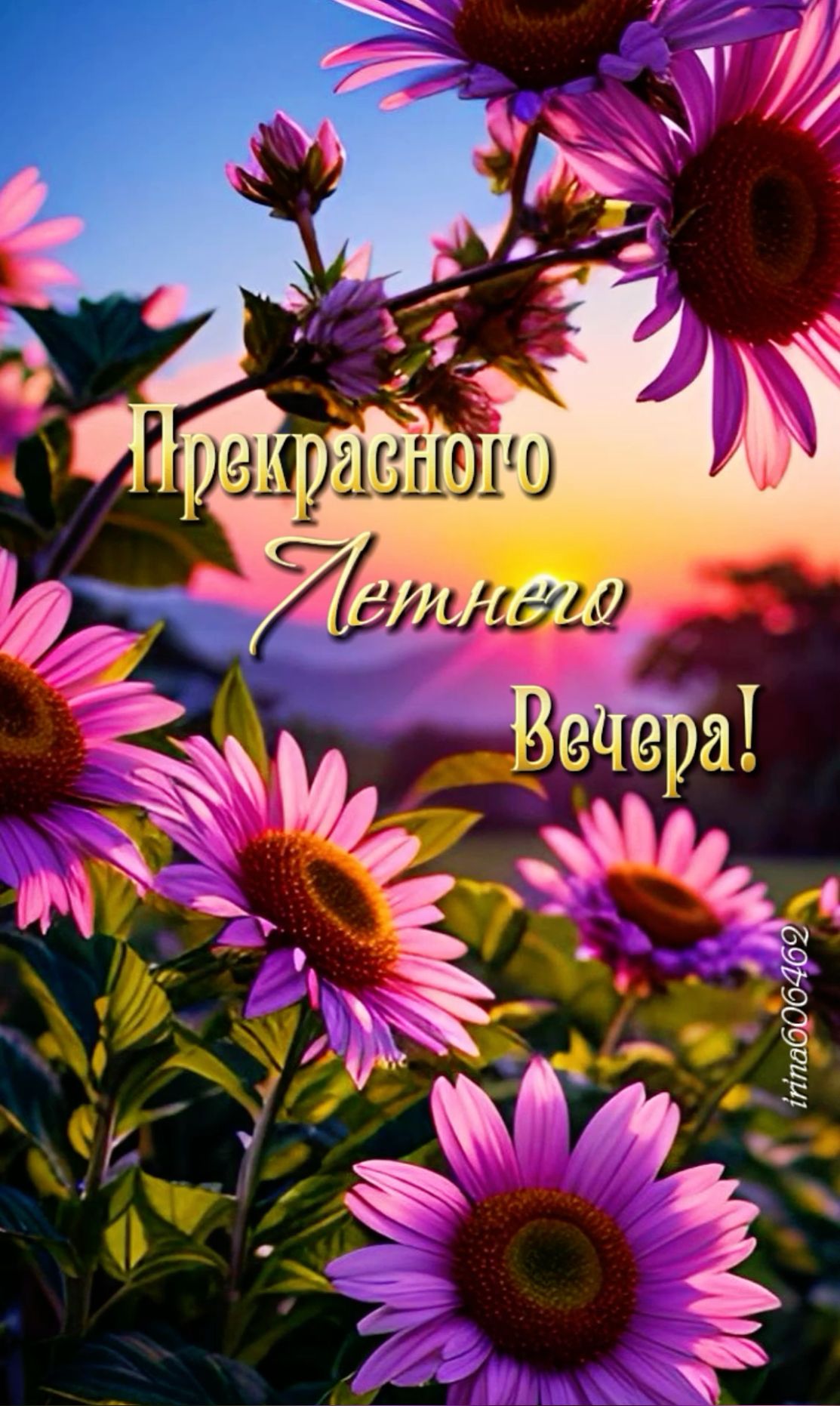 Открытка «Добрый вечер и пожелания»: Добрый вечер: «Прекрасного летнего вечера». Тэги: Добрый вечер красивые, Доброго…