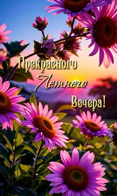 Открытка «Добрый вечер и пожелания»: Добрый вечер: «Прекрасного летнего вечера». Тэги: Добрый вечер красивые, Доброго…