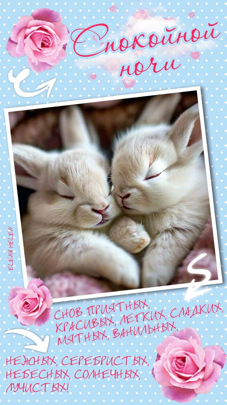 Открытка «Спокойной ночи»: Спокойной ночи: милые кролики и приятных снов. Тэги: Спокойной ночи, красивые, Спокойной н…