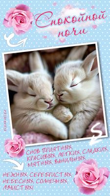 Открытка «Спокойной ночи»: Спокойной ночи: милые кролики и приятных снов. Тэги: Спокойной ночи, красивые, Спокойной н…