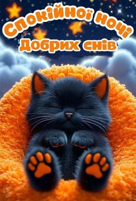 Открытка «Доброй ночи»: Доброй ночи: Милый черный кот в звездном небе.