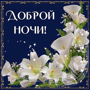 Открытка «Доброй ночи»: Доброй ночи: Изысканный букет белых лилий.